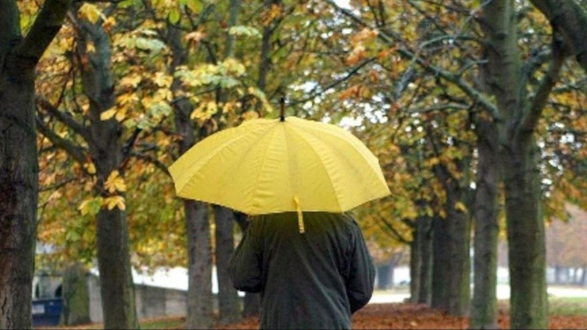Si plou per Sant Bartomeu, bona tardor tendreu