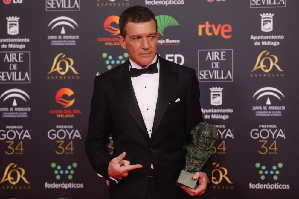 Antonio Banderas, Goya a Mejor Actor por 'Dolor y Gloria'.