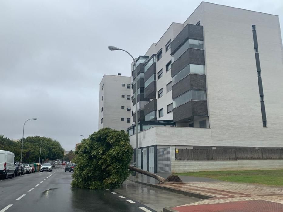 Lluvia en Málaga con la llegada de la borrasca Filomena.