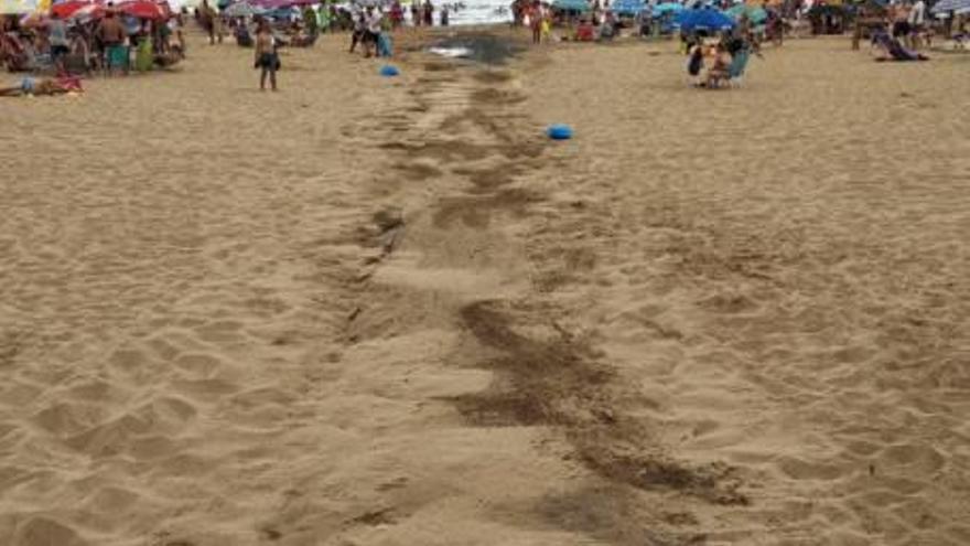 Un chaparrón que ensucia la playa de Levante