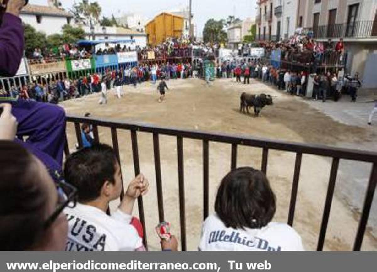 GALERÍA DE FOTOS - Almassora continua con su semana taurina