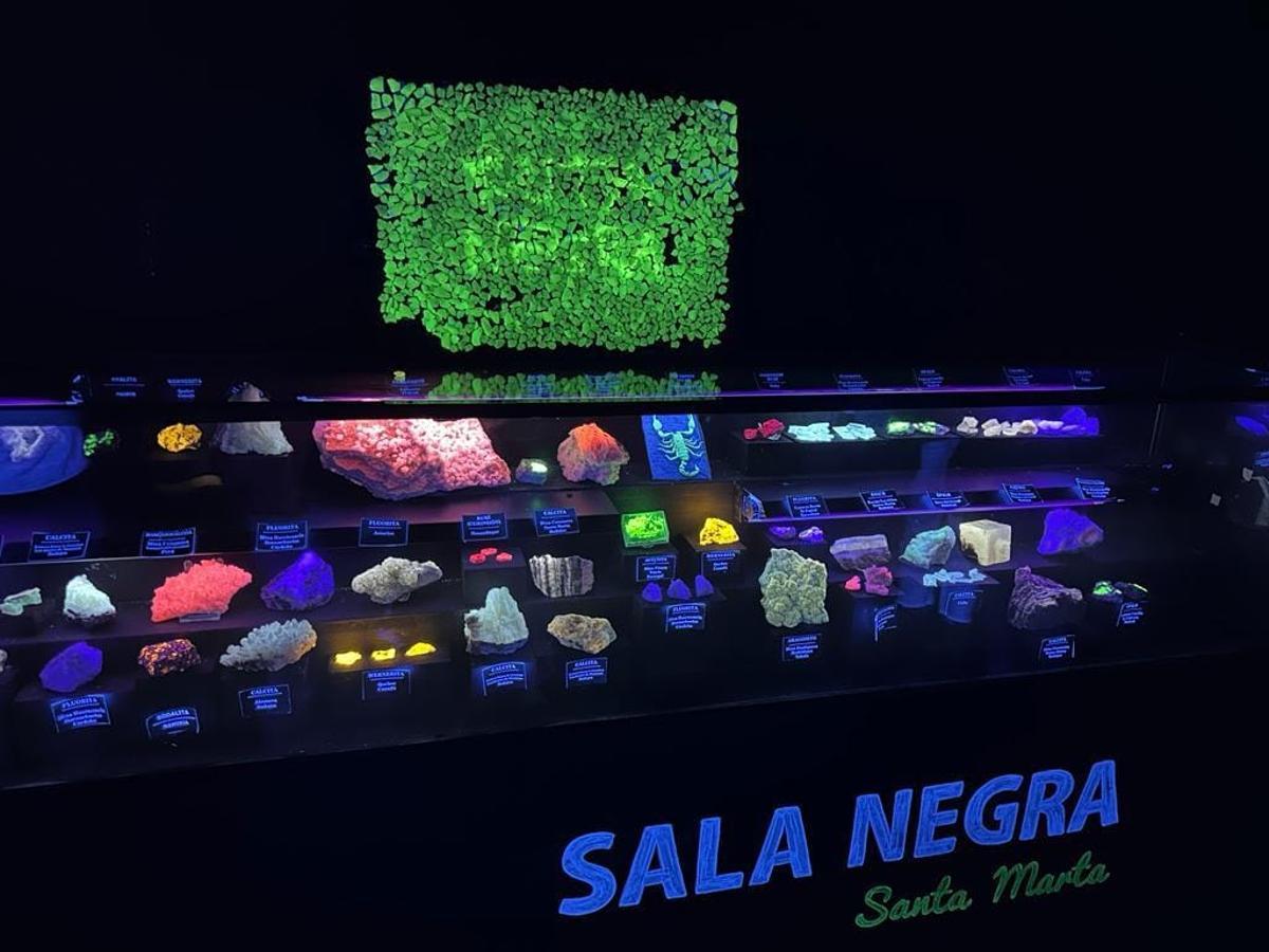 Minerales fluorescentes presentes en la sala negra del museo geológico