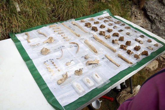 Excavacions arqueològiques al Roc de les Orenetes