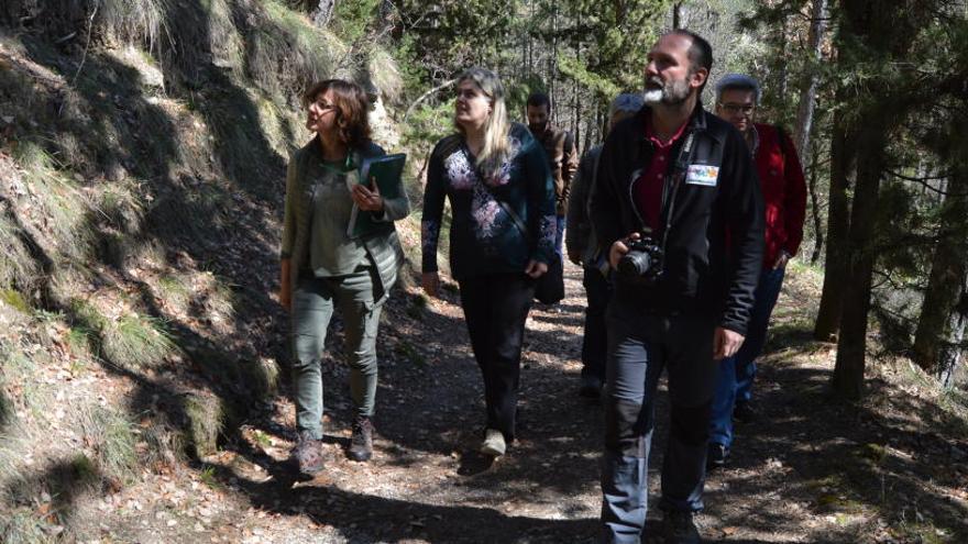 Presentació del projecte al passeig dels Pins de Metge