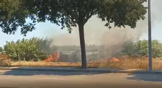 Incendio de pastos en la Circunvalación de Badajoz