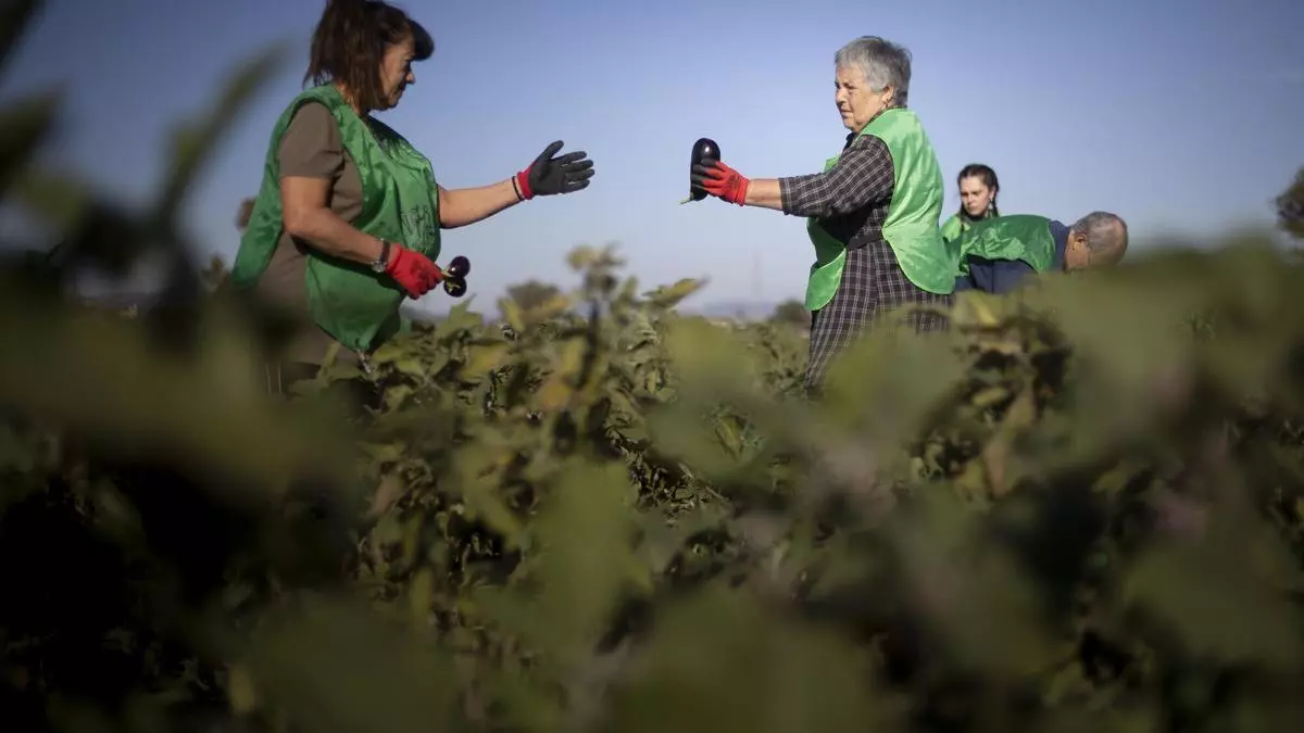 Catalunya podría beber durante tres años del agua malgastada en producir la comida que se desperdicia