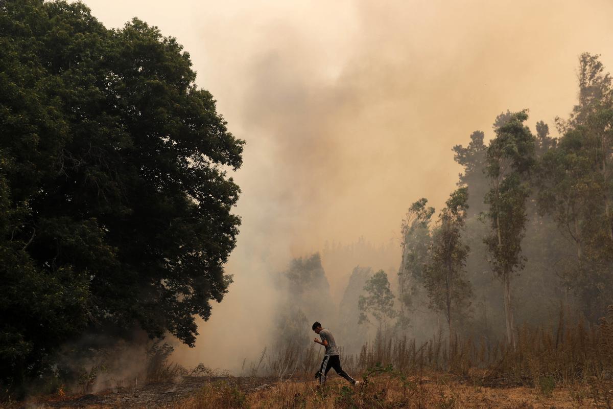 Los incendios que arrasan Chile dejan ya más de 20 muertos