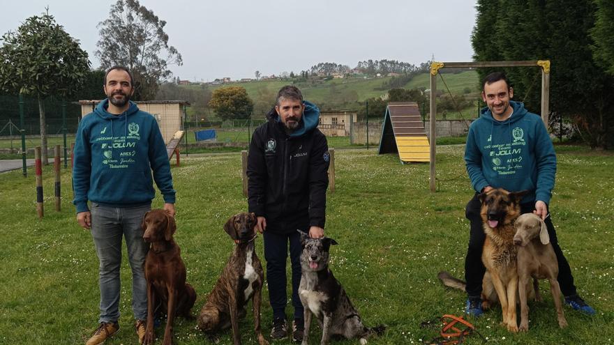 Practicar deporte con el &quot;amigo&quot; más fiel: así es el club de mushing de Llanera