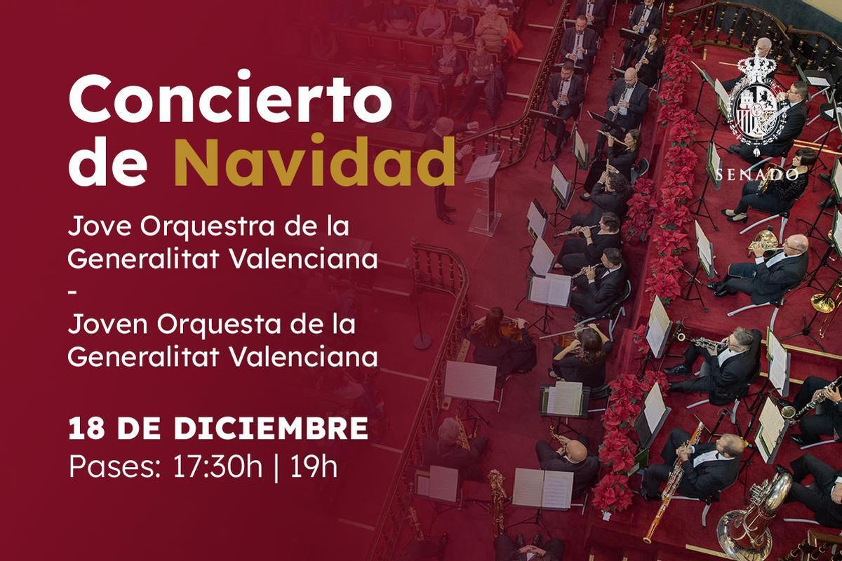 Cartel del concierto