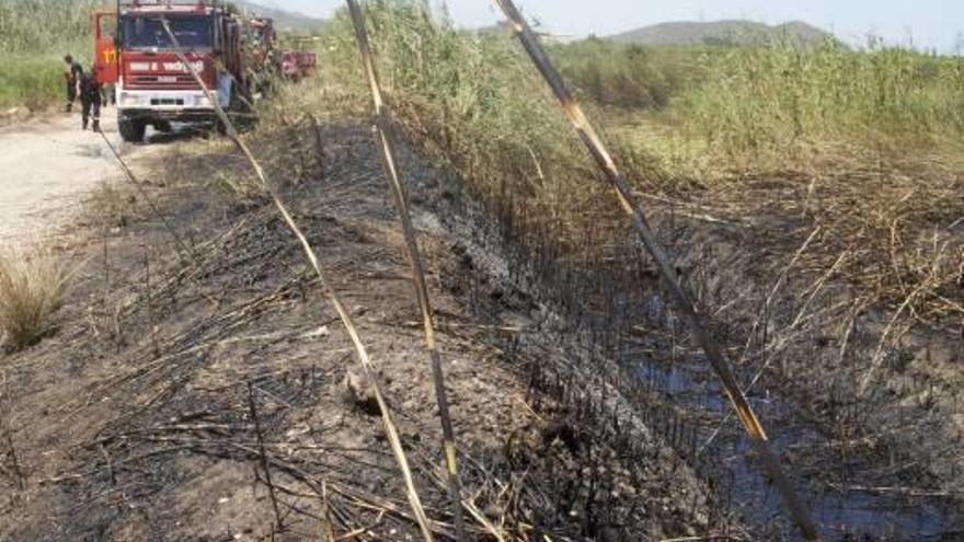 Arden 1.500 m2 de cañaverales en el Marjal de Pego-Oliva