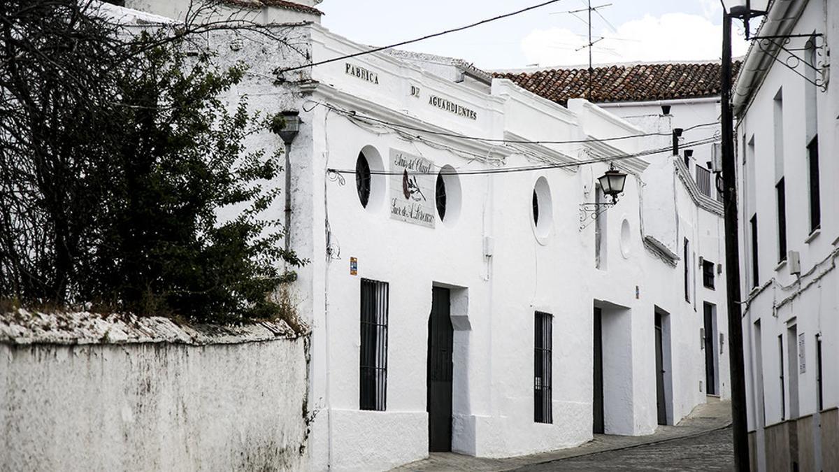 Destilería El Clavel en Cazalla de la Sierra.