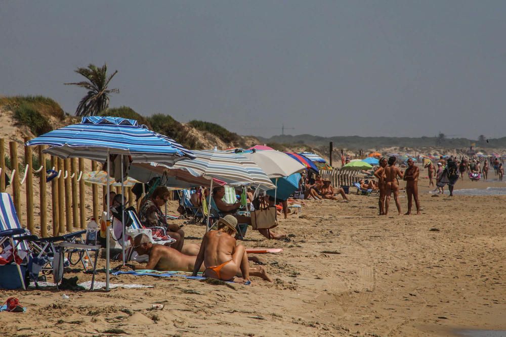 Tramo de la playa de Guardamar donde una pareja murió ahogada