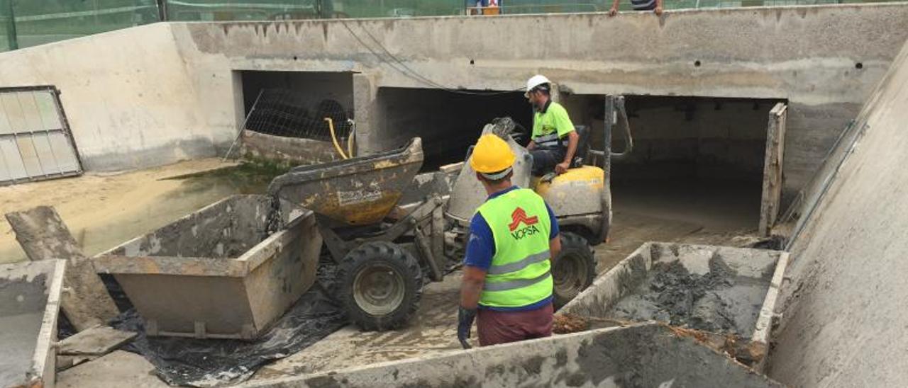 La primera limpieza del CAZ de la Playa de Palma se realizó en 2016.