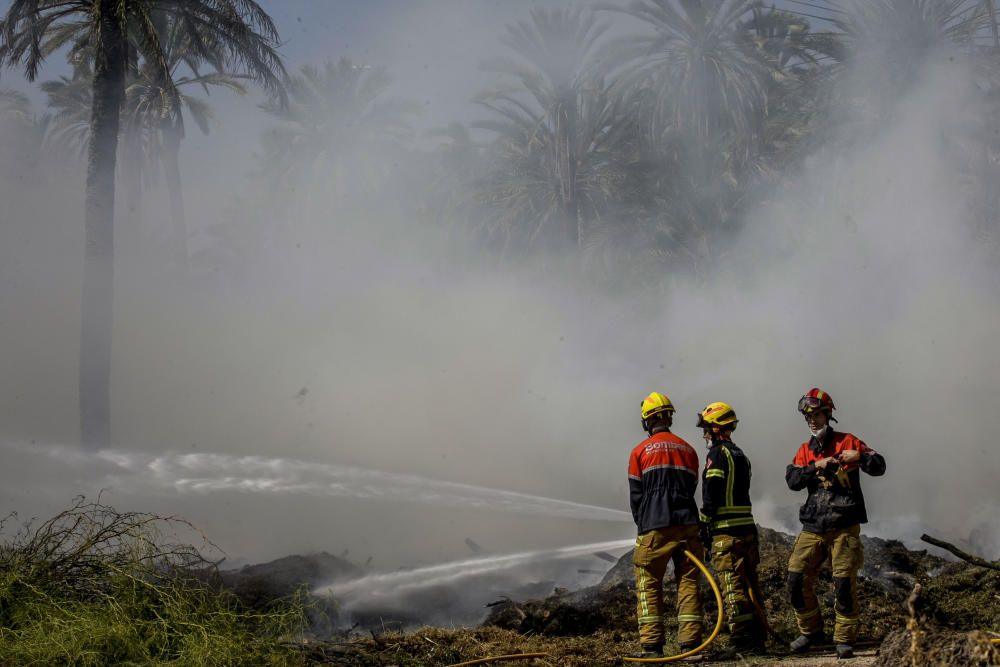 Fuego en el Palmeral de Elche