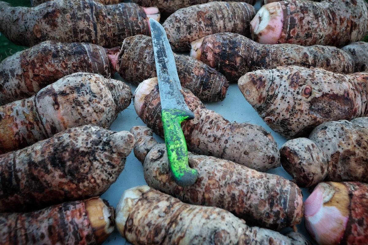 Guisado de ñames en Garachico