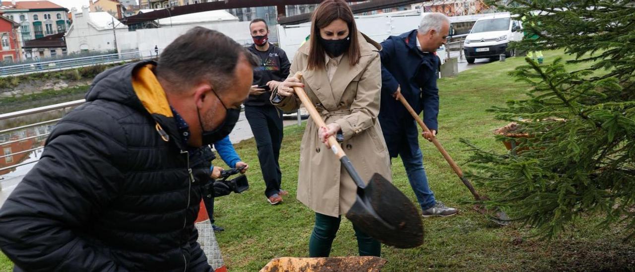 Arriba, en primer plano, Pelayo García y Nuria Delmiro con una pala durante la plantación de los abetos.