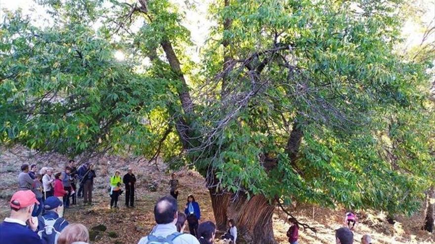 La localidad acoge una jornada para     la creación de productos turísticos