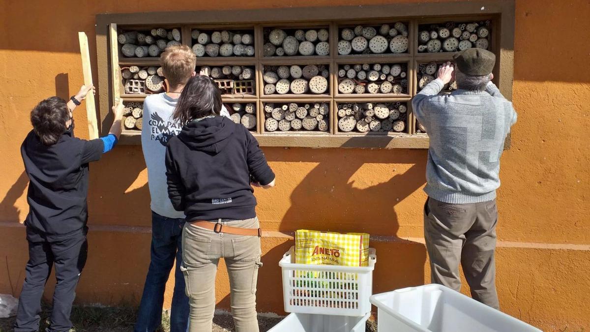 Voluntaris de l’Apnae treballant a la caseta de la biodiversitat de la carretera entre Castelló i Sant Pere