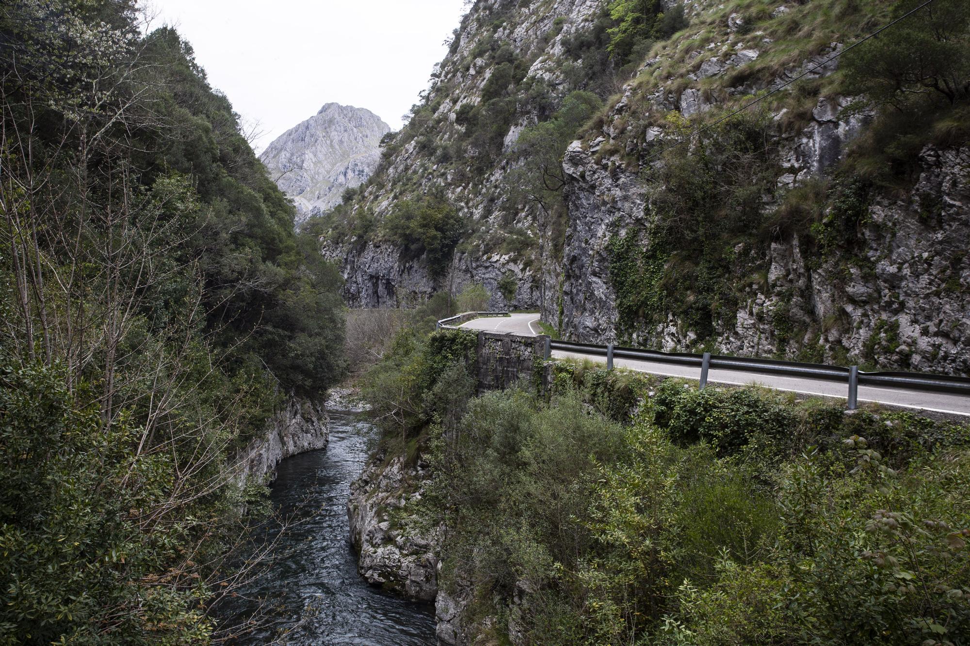 Asturianos en Ponga: un recorrido por el municipio