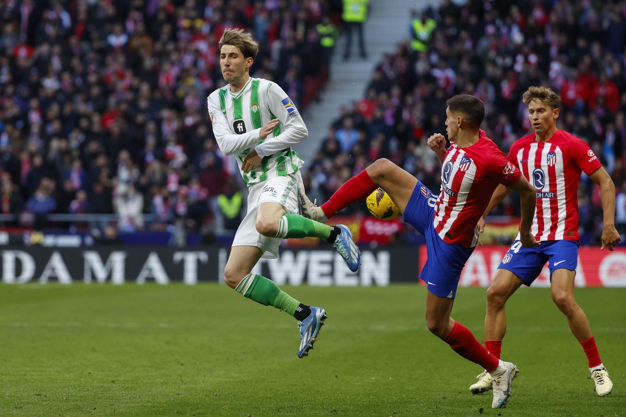 Atlético de Madrid  vs  Betis