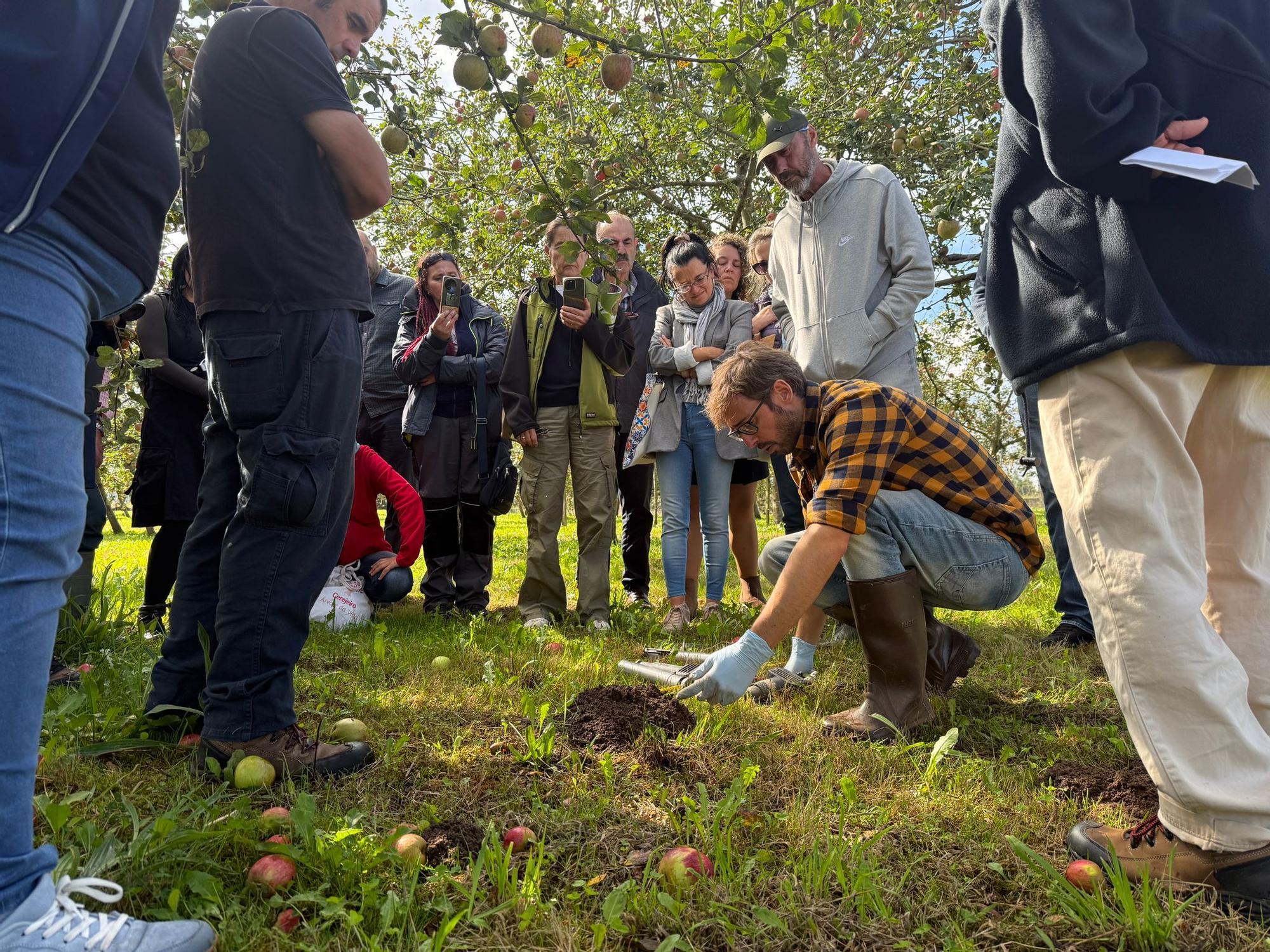 El SERIDA explica sobre el terreno las medidas de protección contra las plagas de roedores en pomaradas