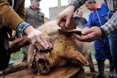 Matanza tradicional en Monfarracinos