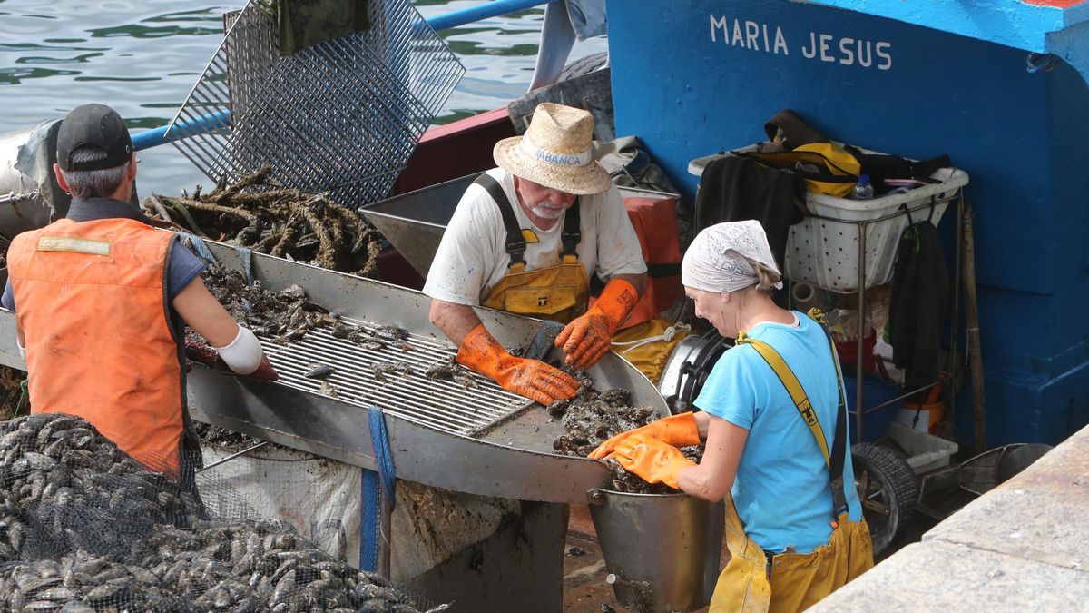 La tripulación del “María Jesús” trabajando en la selección del mejillón a bordo, ayer en Bueu.