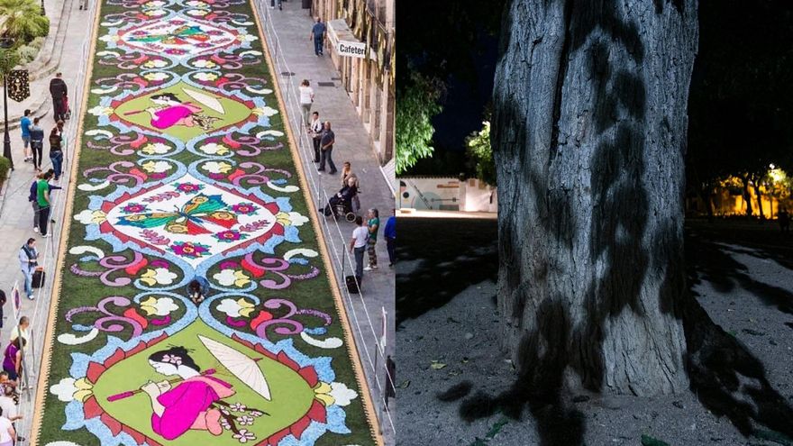 Flora confirma actividades: una alfombra floral homenaje a Julio Romero y una instalación sonora en Orive