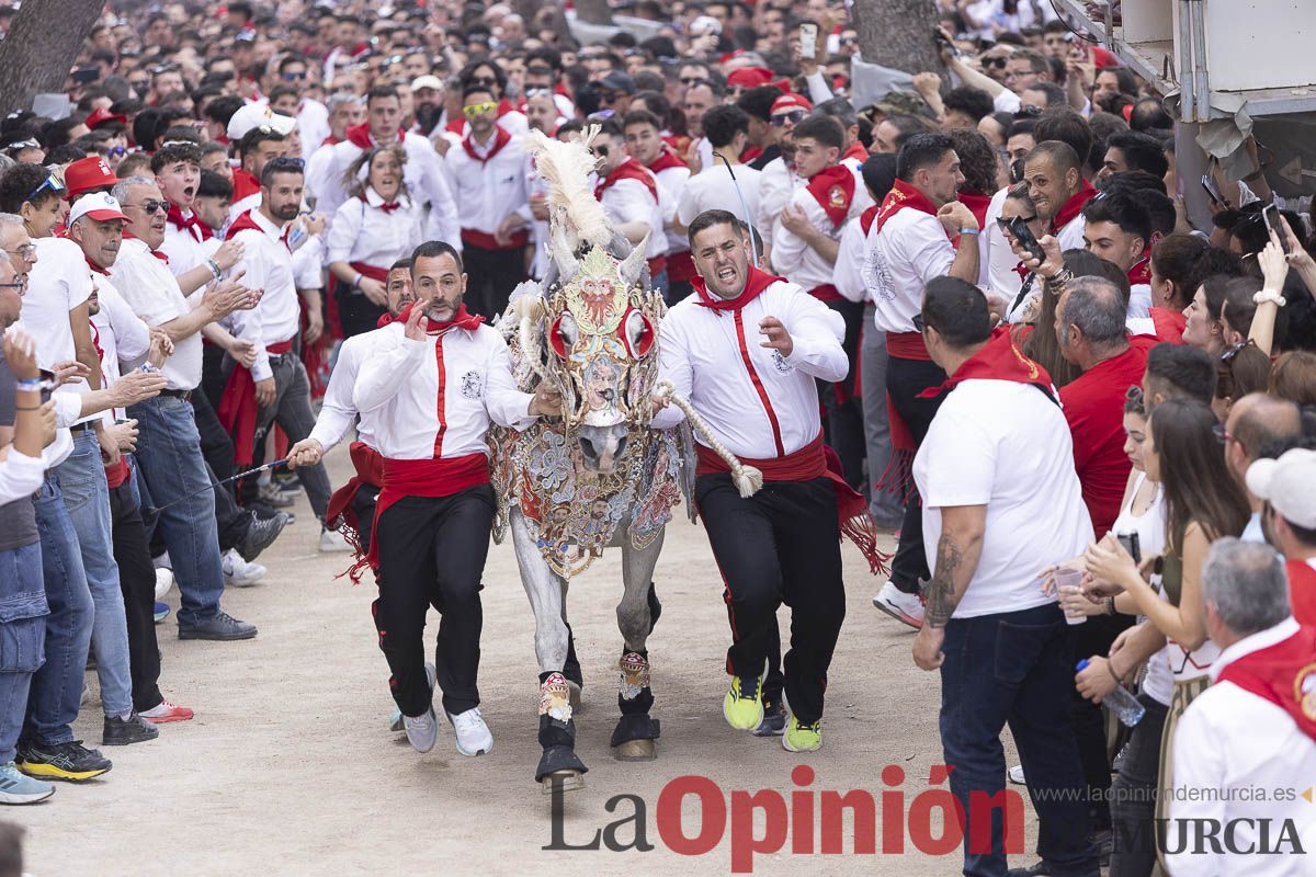 Así se ha vivido la carrera de Los Caballos del Vino en Caravaca