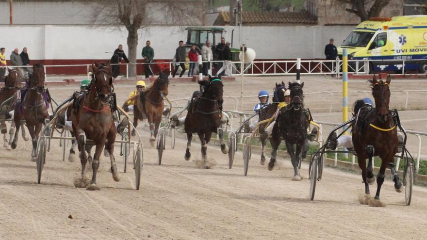 Final de la prueba en la que Univers des Bleves, con Jaume Fluxá, ganó por delante de Ted de la Rive.