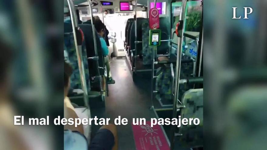 Detenido el hombre que golpeó y lanzó piedras a una guagua