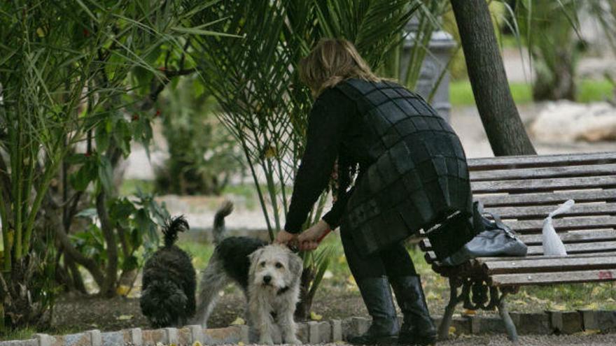 Una mujer con su perro en Elche