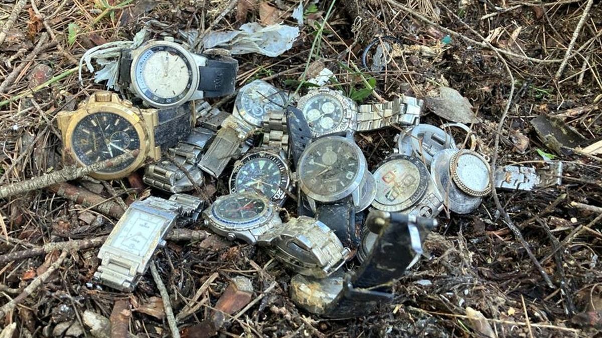 Plano general de los relojes encontrados en el bosque.