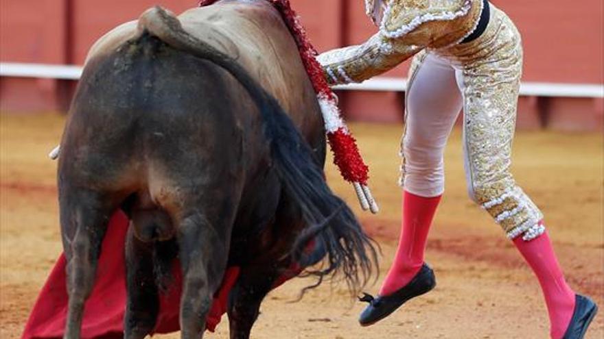 Oreja importante para José Garrido