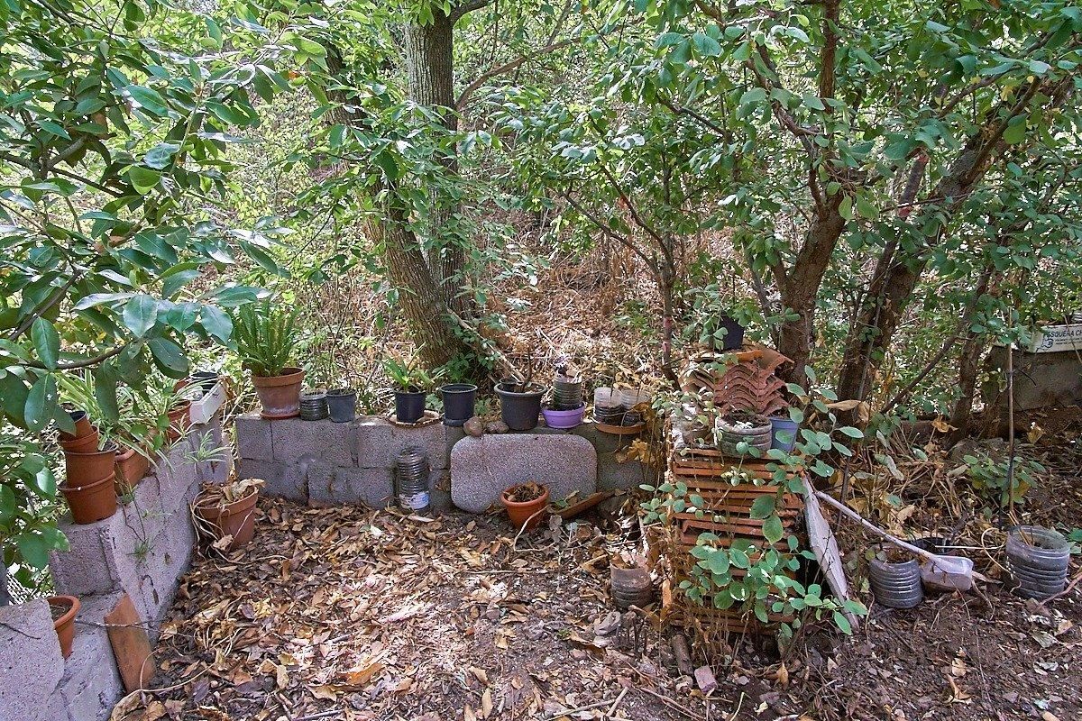 Jardín del establecimiento