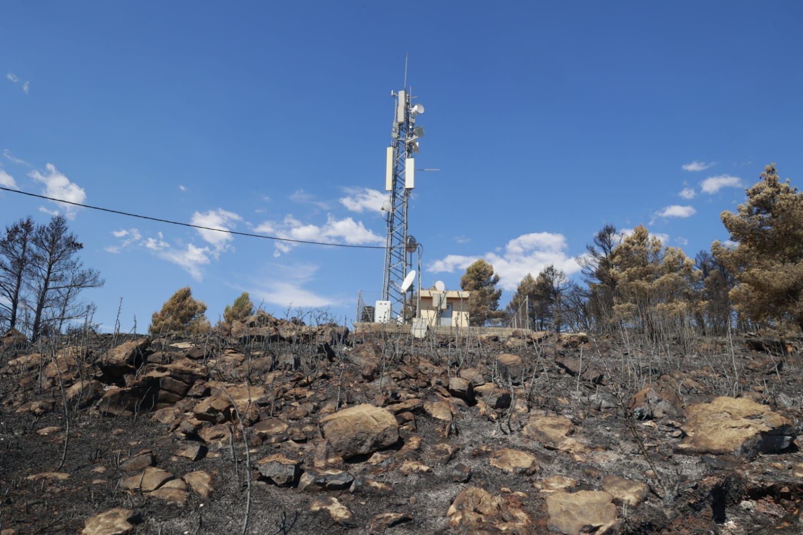 Las consecuencias del incendio de Bejís en Teresa