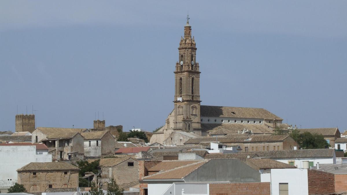 Vista parcial de Bujalance, con la torre de la iglesia de la Asunción de fondo.