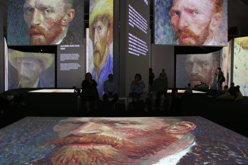 Llega a Málaga la exposición 'Van Gogh Alive'