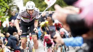 Pogacar, l’únic que sempre guanya sobre una bici