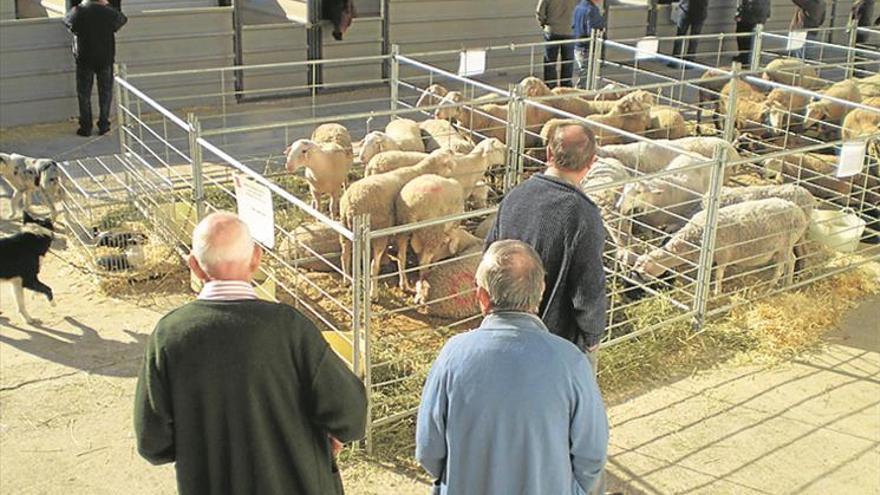 Muestras y talleres abren la Fira de Sant Andreu de Cabanes