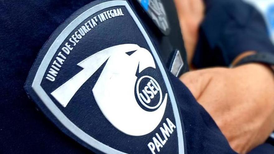 Un agente de la USEI de la Policía Local de Palma.