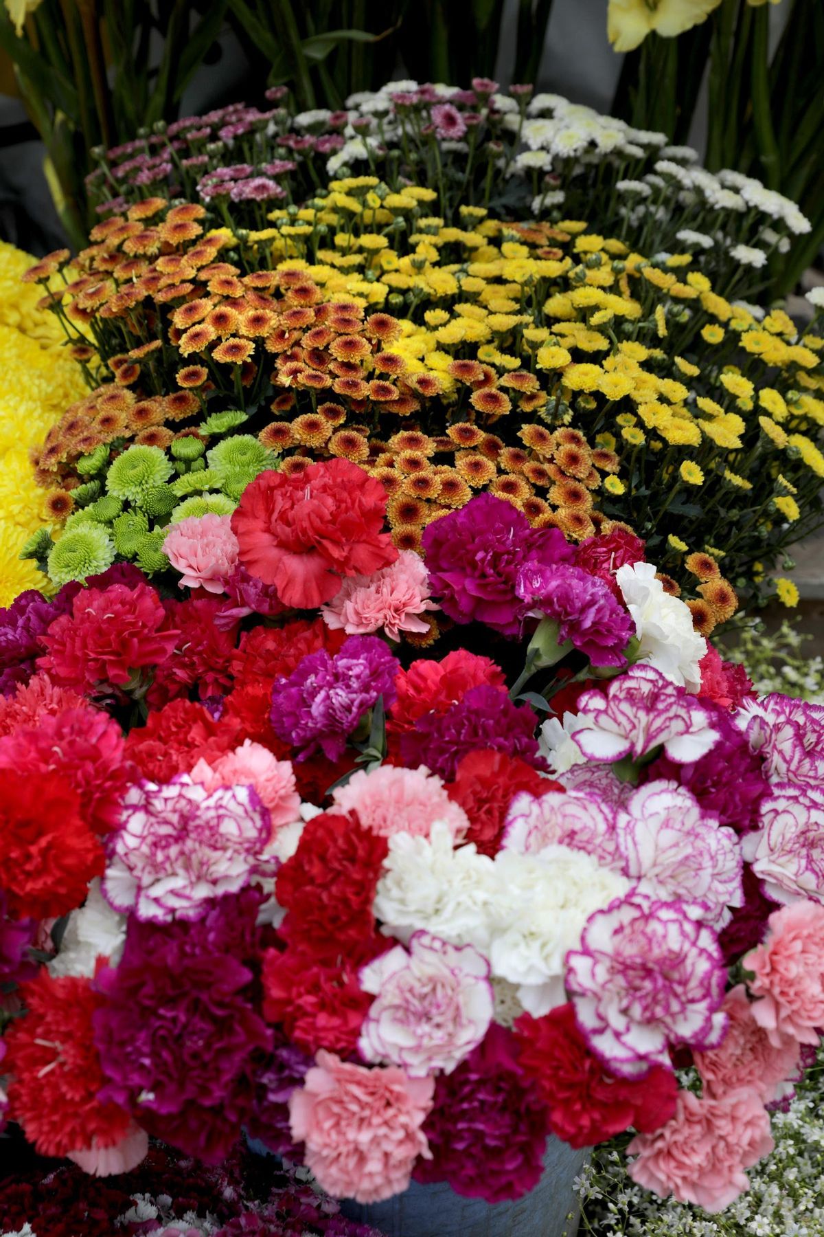 El mundo se prepara para celebrar San Valentín