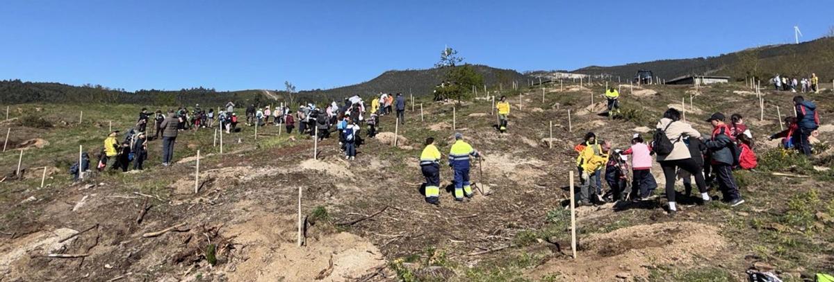 Cien estudiantes de Caldas plantan más de 200 árboles en el Día Forestal Mundial | FDV