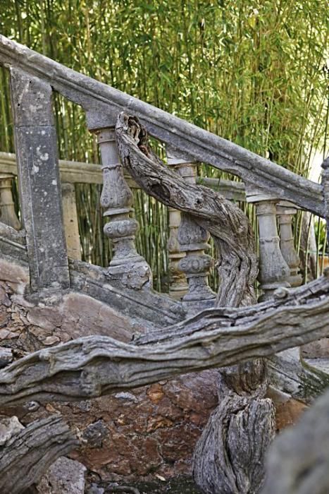 Die Kunsthistorikerin Júlia Ramon erklärt auf einem Rundgang durch die Jardins d’Alfàbia, aus welcher Zeit die Allee, die Wasserspiele und die Bäume stammen