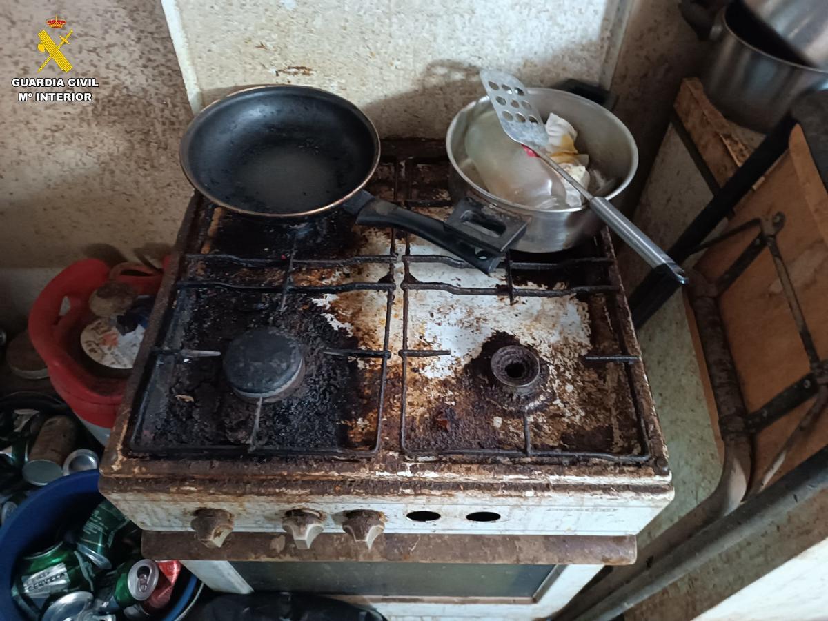 Investigan una protectora de animales en Agüimes