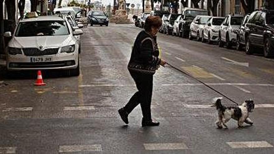 Una señora pasea con su can por Ibiza, ayer.