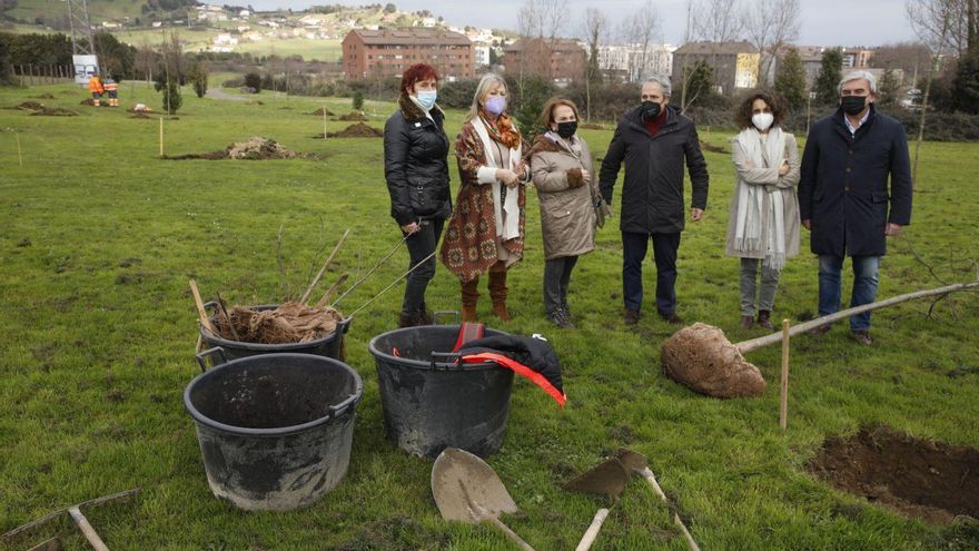 Los rotarios donan 61 árboles autóctonos para su parque de Jove