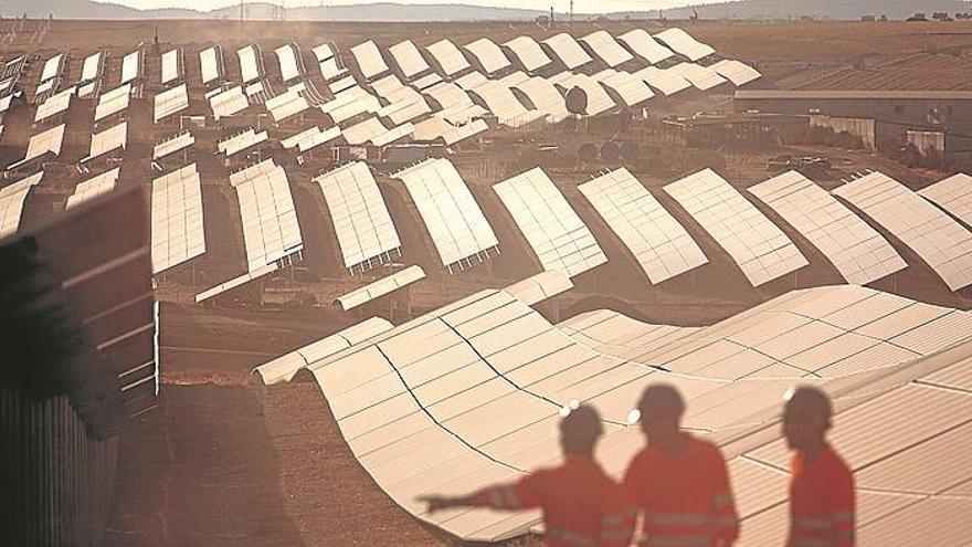 Extremadura ya baraja un centenar de plantas