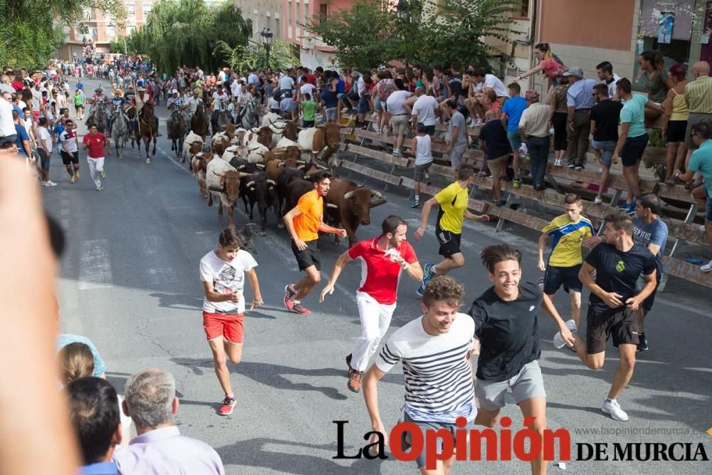 Séptimo encierro en Moratalla