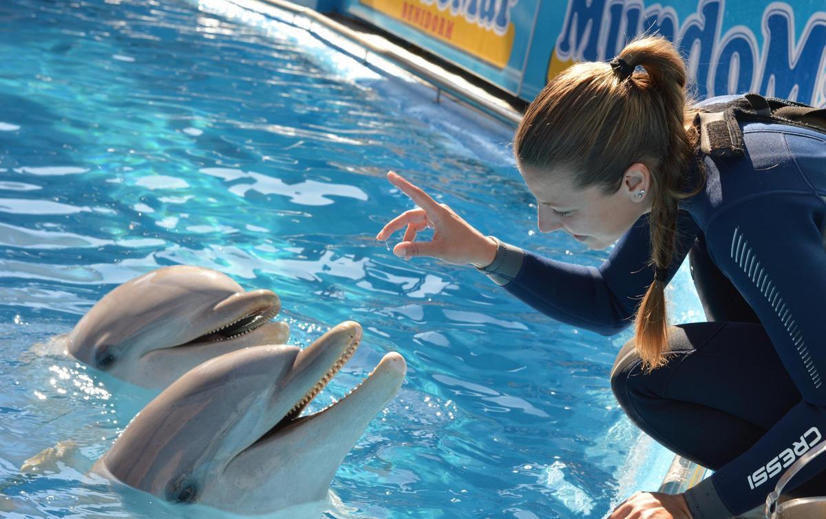 Los delfines de Mundomar